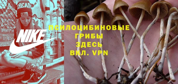 дмт Майский