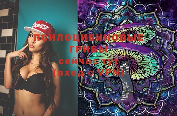 мяу мяу мука Магас