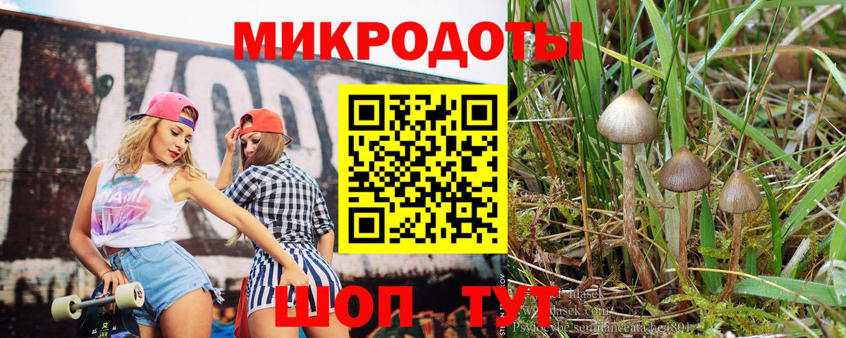 Галлюциногенные грибы GOLDEN TEACHER  Вход с VPN  Псилоцибиновые грибы Cubensis  Батайск 