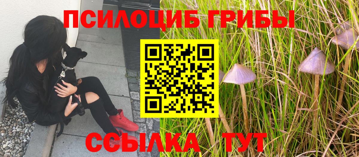 Псилоцибиновые грибы Magic Shrooms Батайск